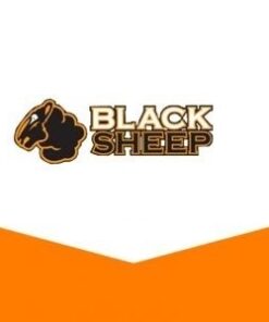 Black sheep