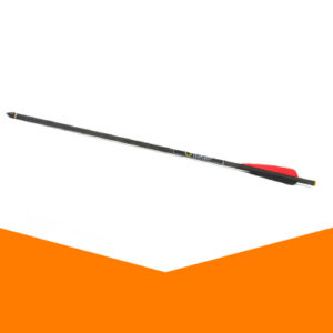 Carbon