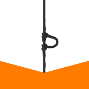 d-loop