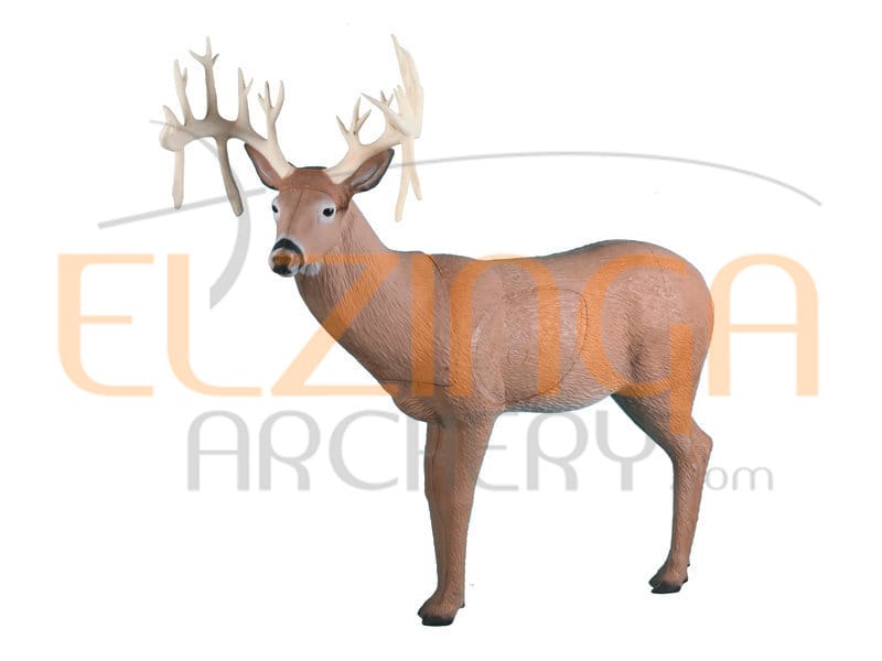 Rinehart 30 Point Buck (2 boxes)