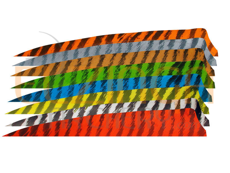 Gateway Feathers 3" Shield Barred
