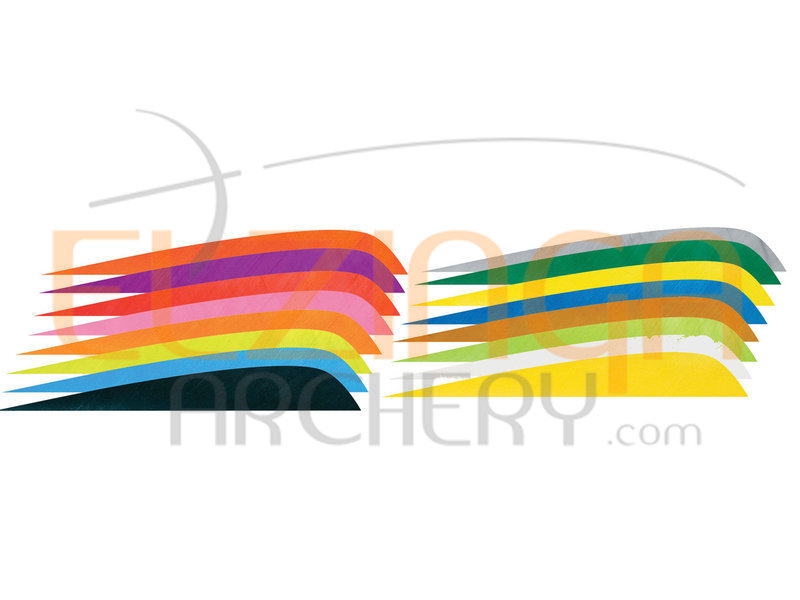 Gateway Feathers 4" Shield