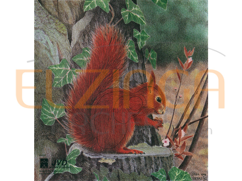 JVD Animal Face Squirel