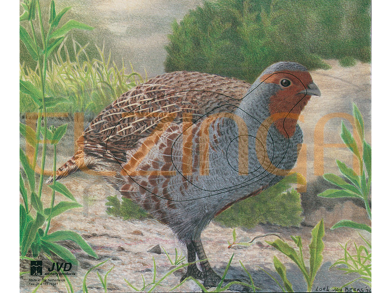 JVD Animal Face Partridge
